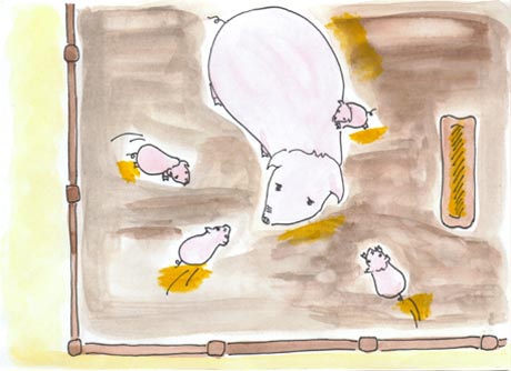 ��؂̂܂������C�ɑ�����q�؂���