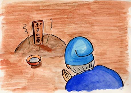 �������Ă��F�肷��ǂ���������