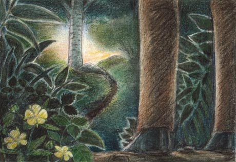 �ǂ�ǂ�R����i�ދv�l