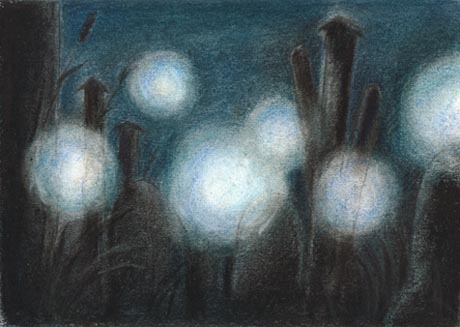 �ڂ̑O�ɍL����΂̋ʁA��������Ă���v�l