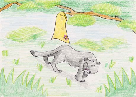 �X�J�[�g��������s���[�}