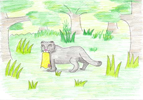 �X�J�[�g�����킦�Ă���s���[�}