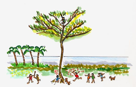 �傫�Ȗ؂��P�{�����Ă��܂����B